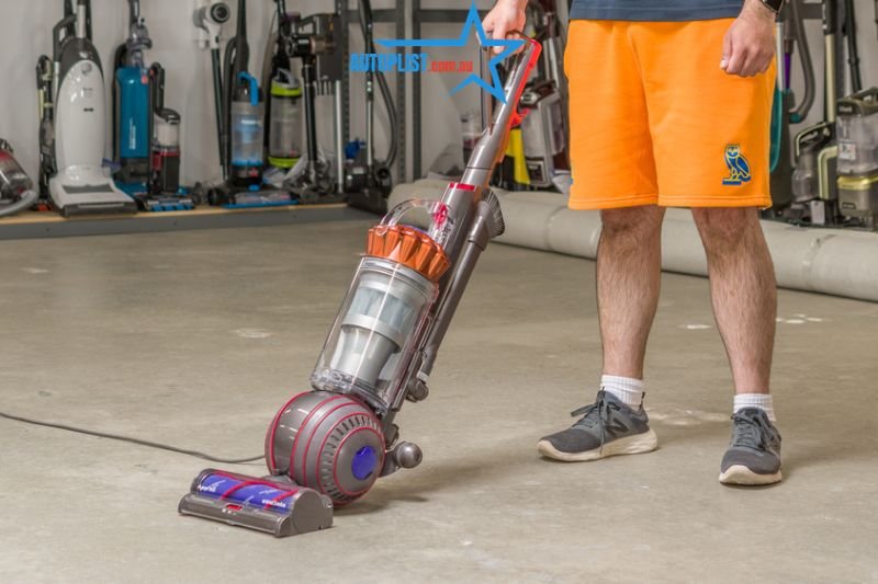 Dyson Ball Animal 3: The Heavyweight Champ
